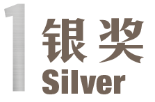 International ARC Awards - Silver